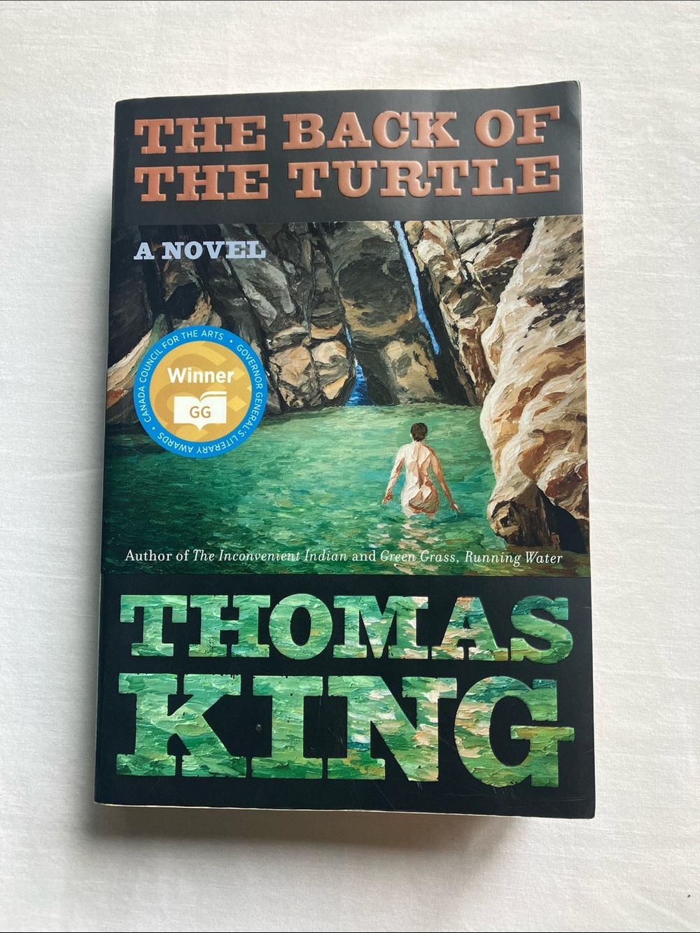 The Back of the Turtle Book by Thomas King a novel paperback